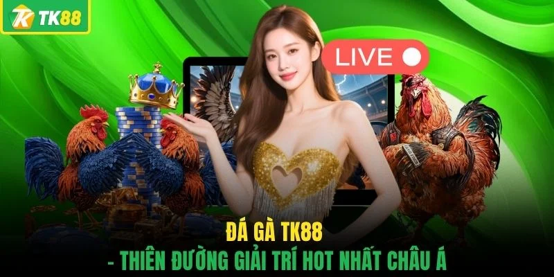 Đá gà TK88 - Thiên đường giải trí hot nhất châu Á