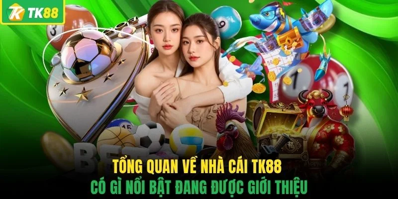 Tổng quan về nhà cái TK88 có gì nổi bật đang được giới thiệu